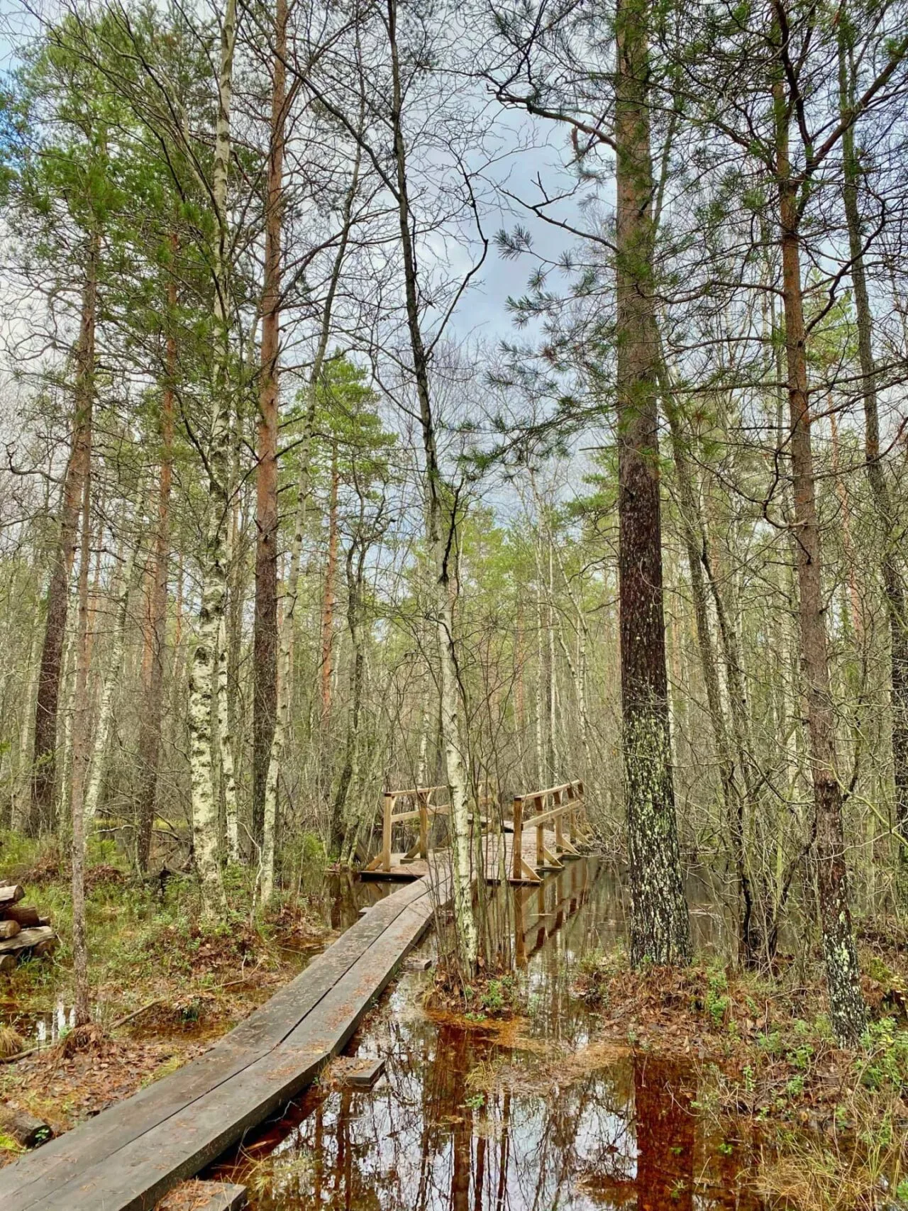 Luontopolulla on pitkospuita ja silta kostean paikan ylittämiseen.