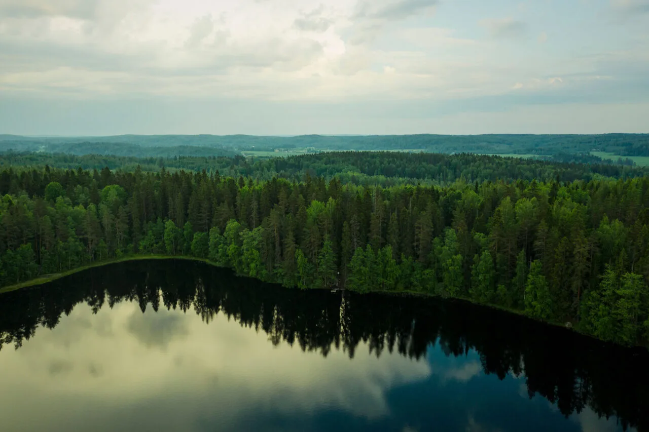 Kuvituskuva
