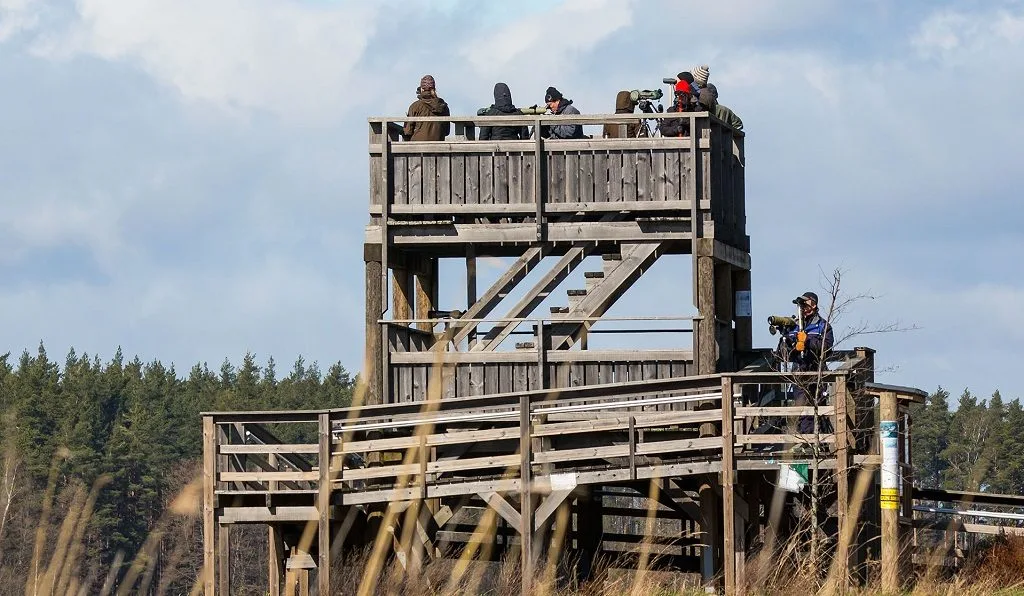 Kuvituskuva