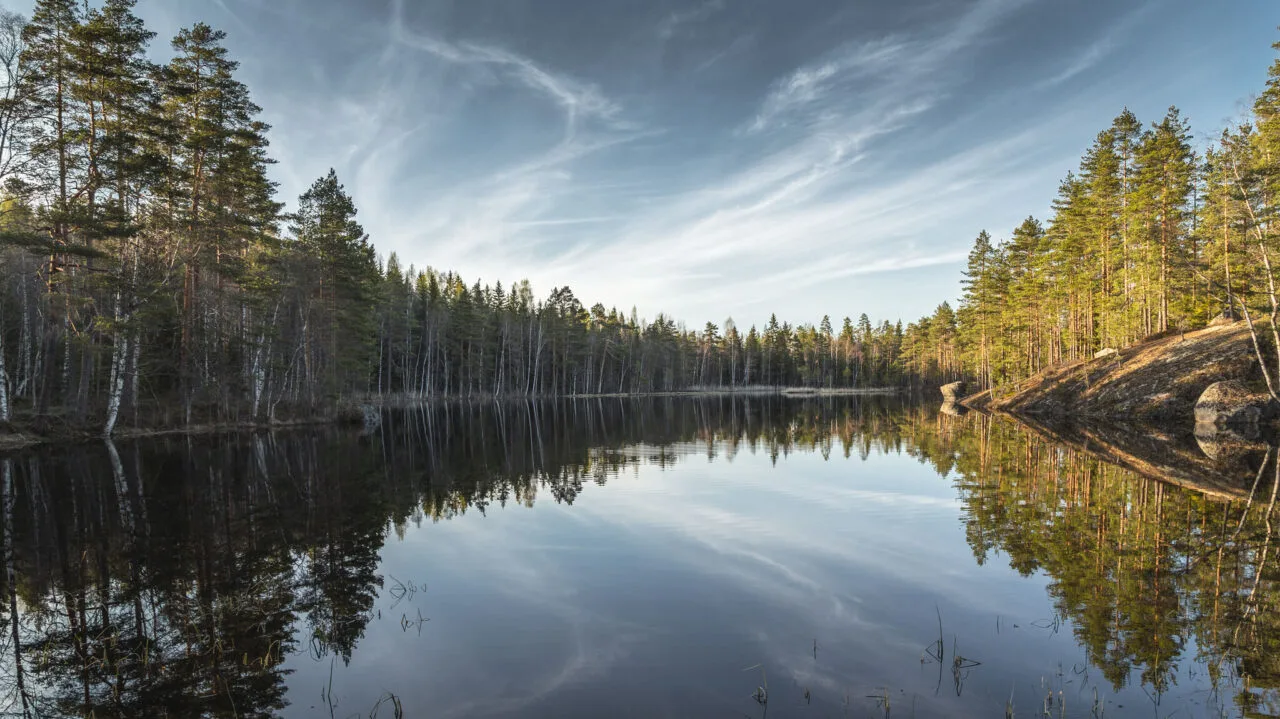 Kuvituskuva