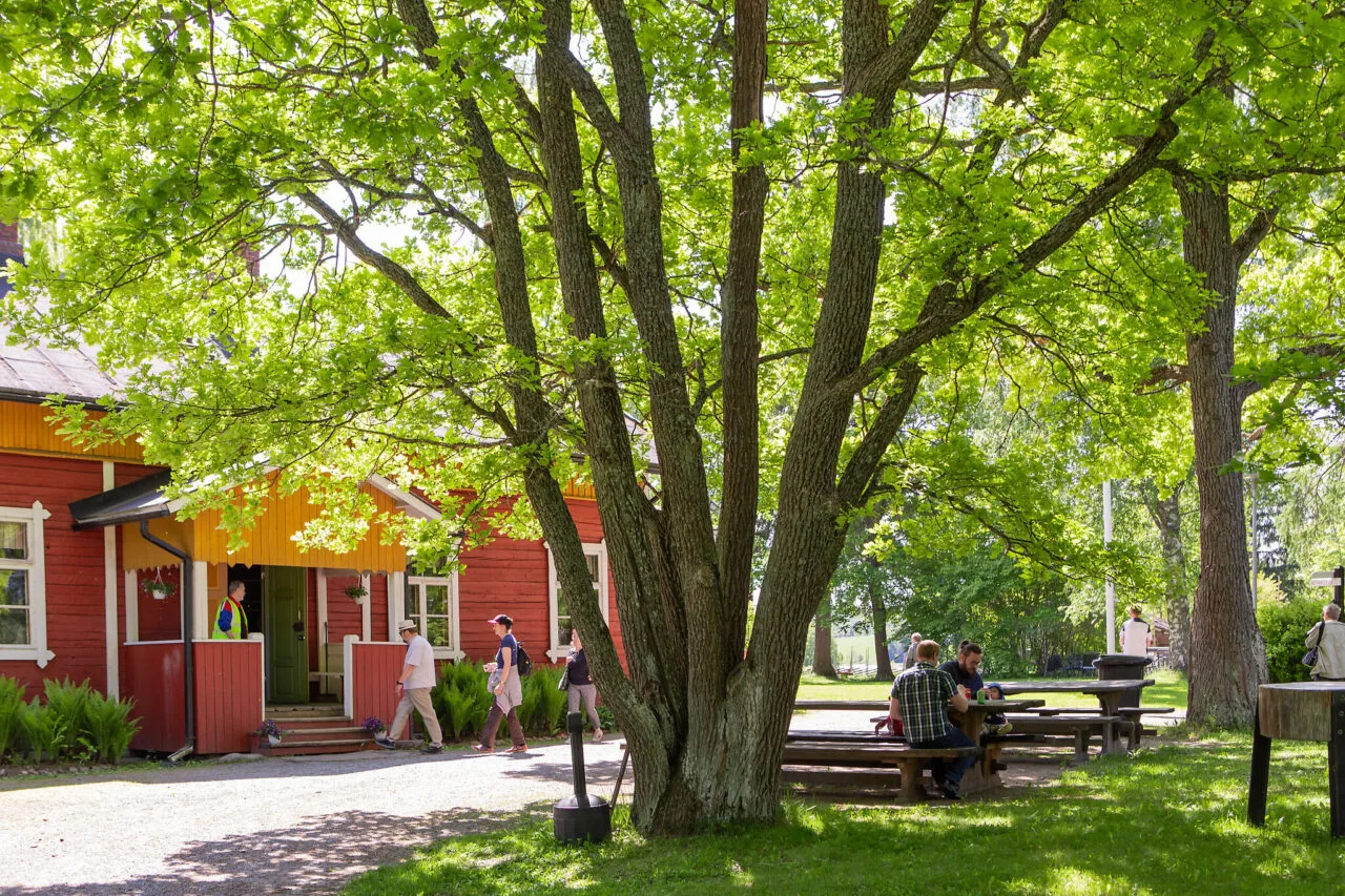 Kuvituskuva