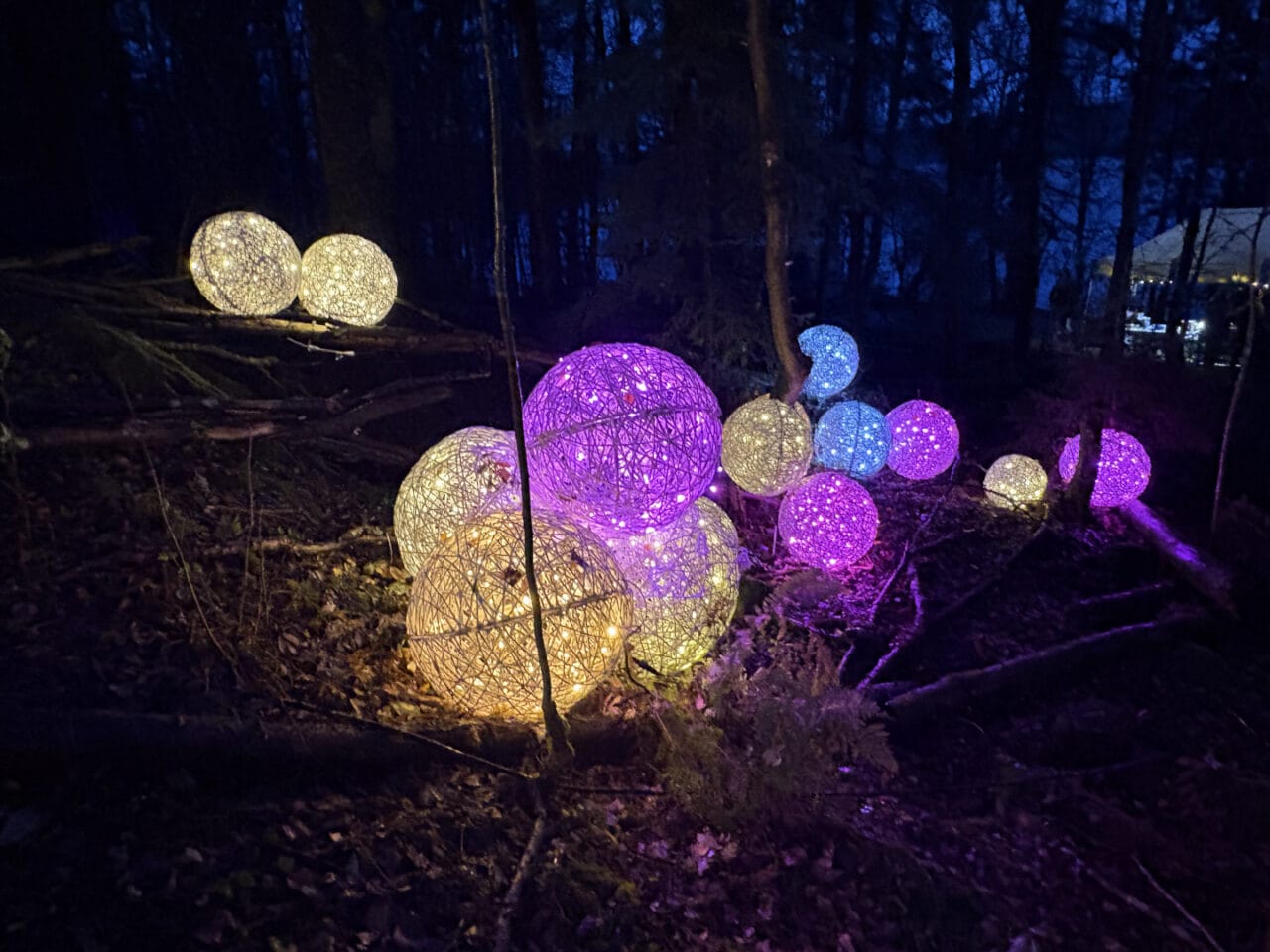 Värikkäitä valopalloja metsässä